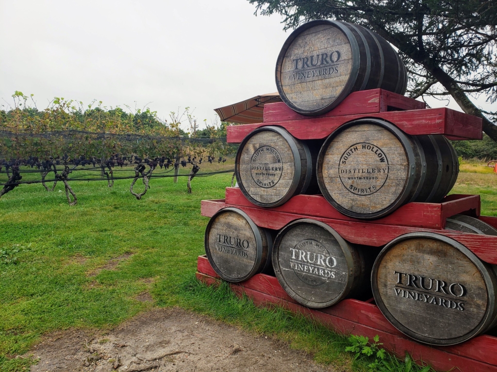 Truro Vineyards with people enjoying the outdoor wine tasting area surrounded by greenery