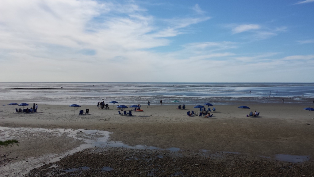 View of the tidal flats during low tide in Brewster, with people exploring the beach